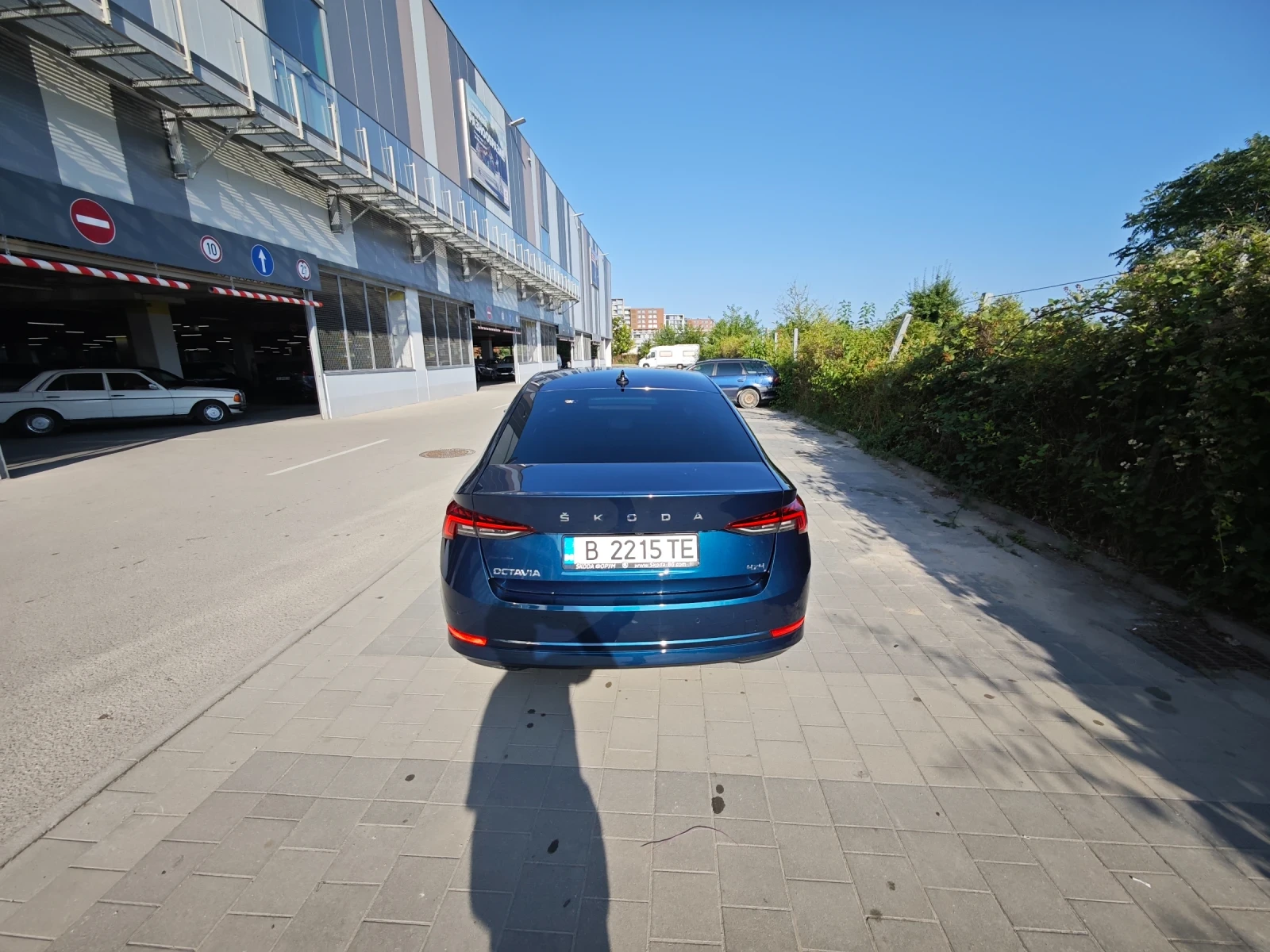 Skoda Octavia, снимка 4 - Автомобили и джипове - 55342840