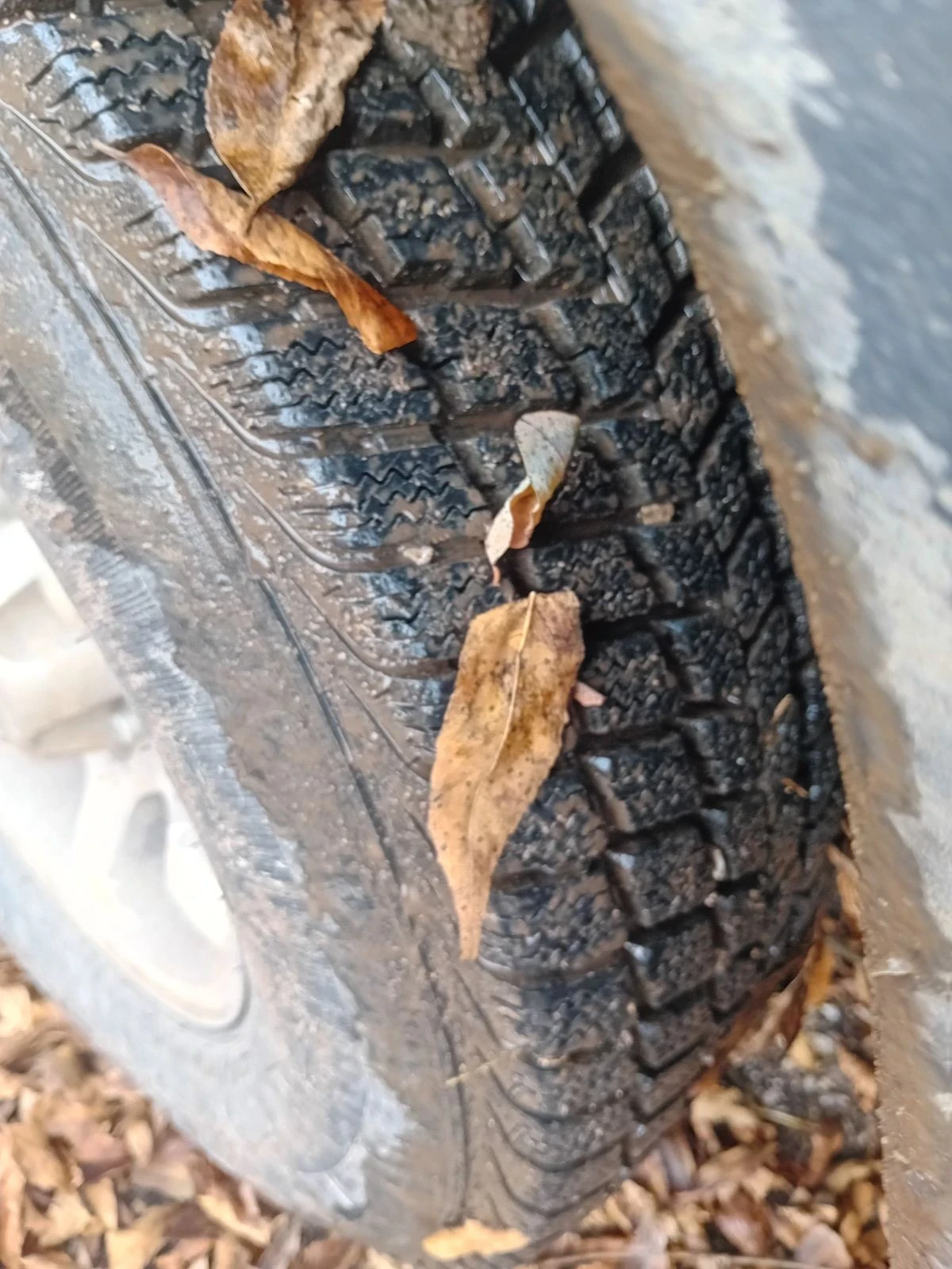 SsangYong Korando | Mobile.bg   5