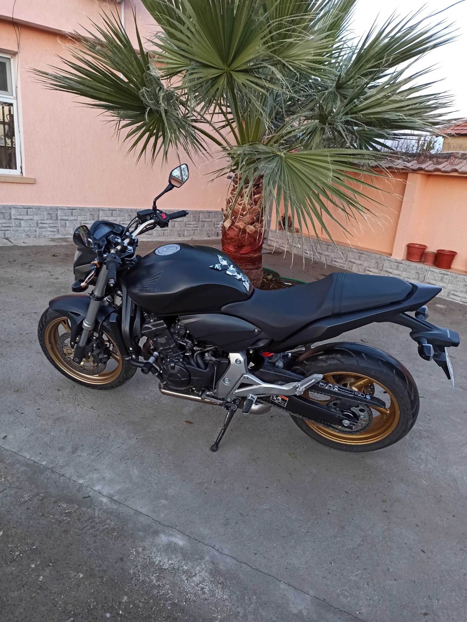 Honda Hornet  - изображение 5