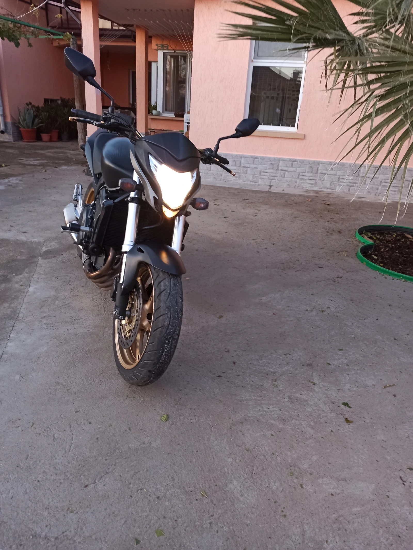 Honda Hornet  - изображение 7