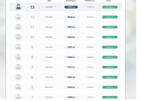 BMW 318 2.0 - Сменени вериги, от БГ  , снимка 16