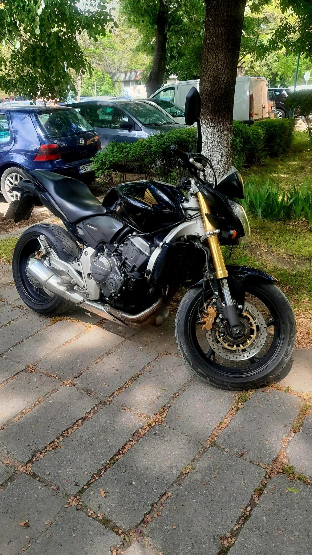 Honda Hornet Cb600fa