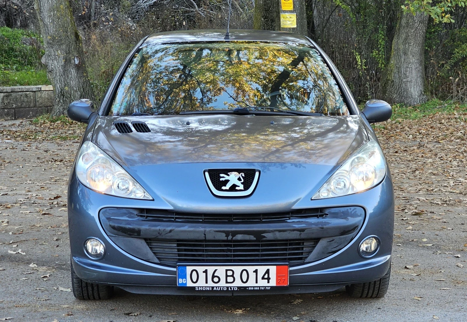 Peugeot 206 1.4 75, снимка 2 - Автомобили и джипове - 55288768