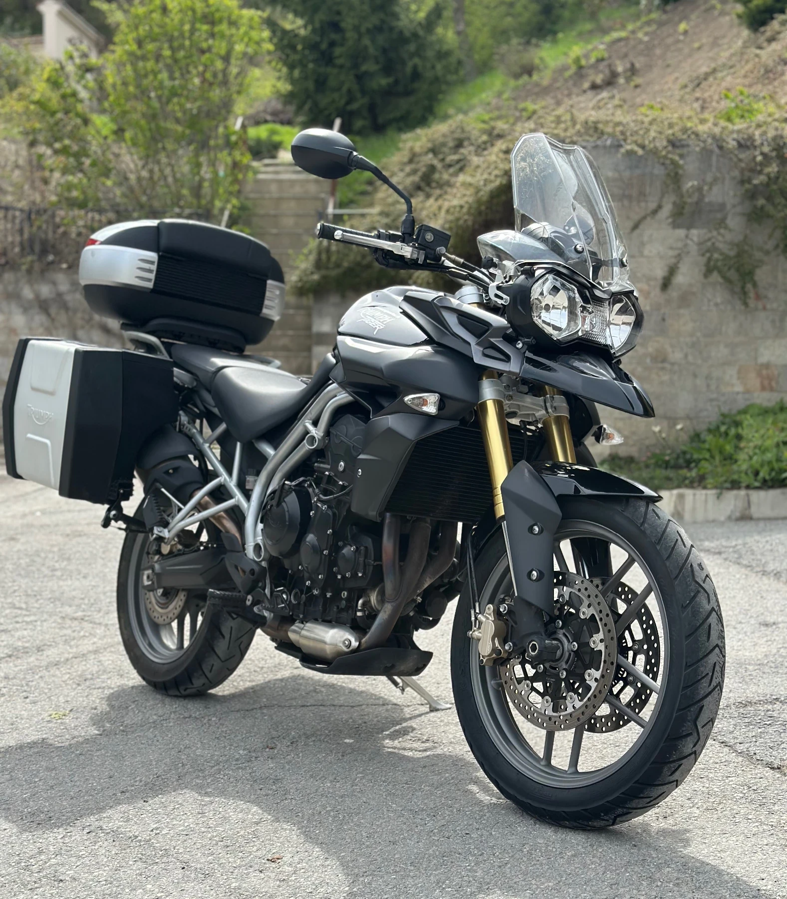 Triumph Tiger 800 ABS - изображение 2