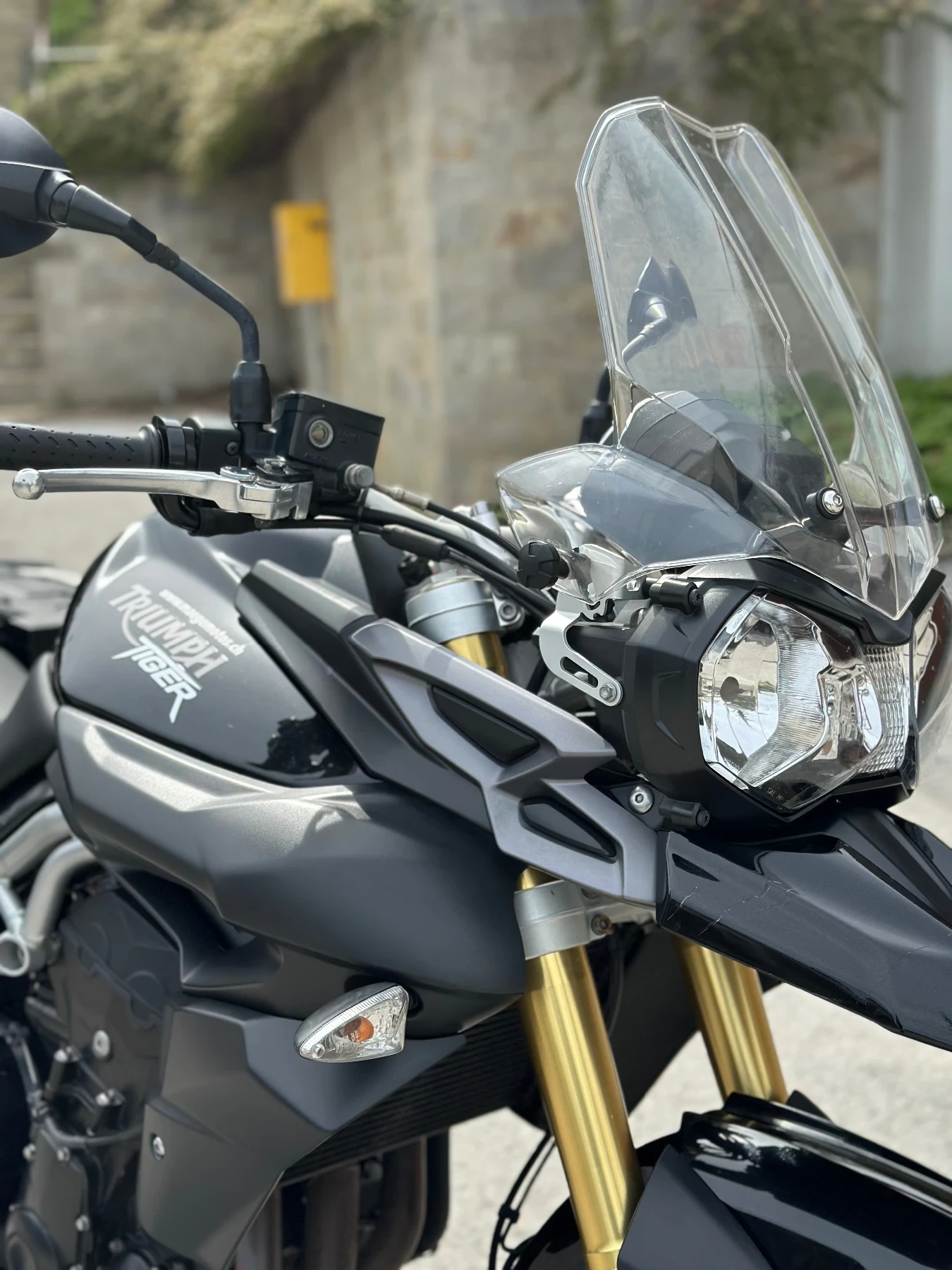 Triumph Tiger 800 ABS - изображение 9
