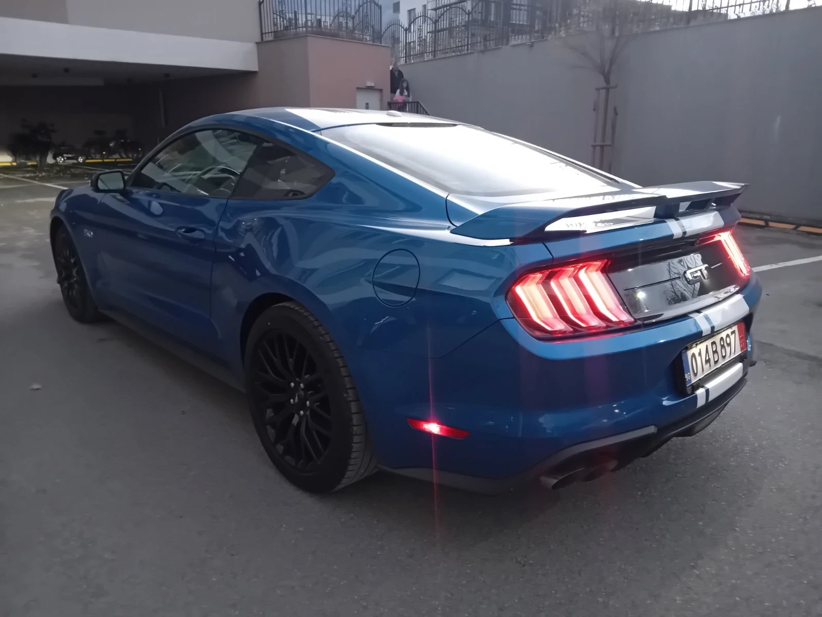 Ford Mustang GT Premium 5.0 54000    | Mobile.bg   6
