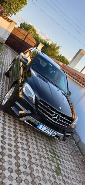 Mercedes-Benz ML 350 350d Blue Tec, снимка 16