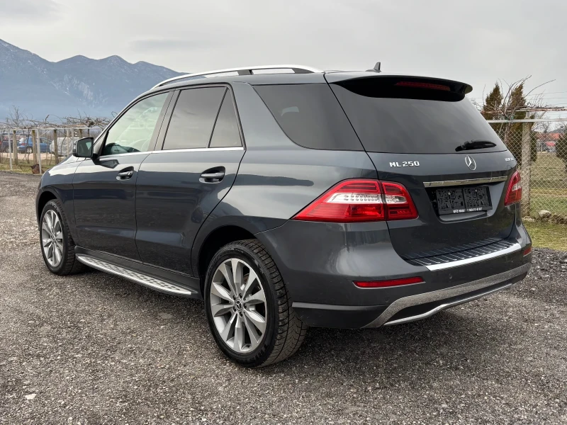 Mercedes-Benz ML 250, снимка 7 - Автомобили и джипове - 53566660