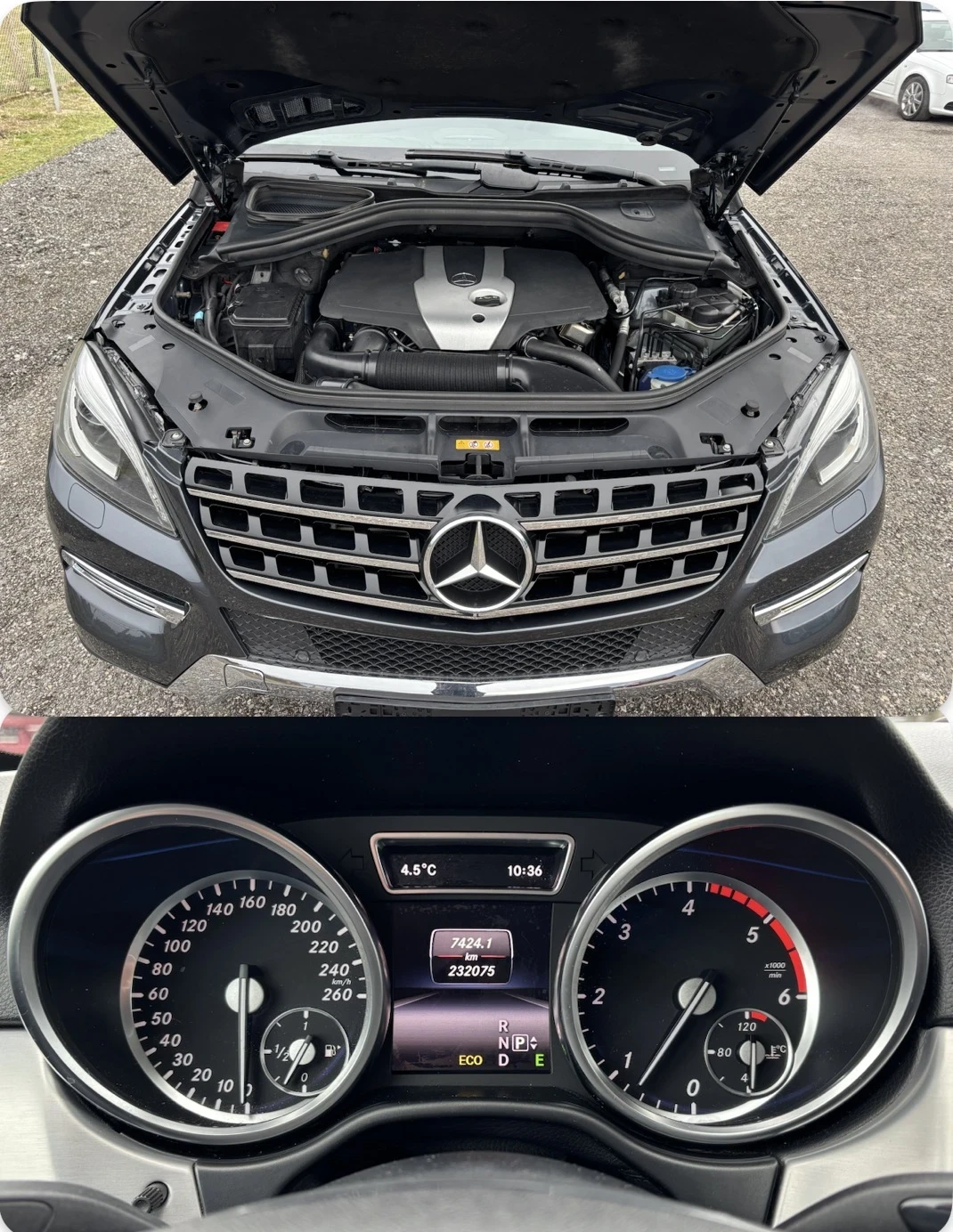 Mercedes-Benz ML 250 | Mobile.bg � ����������� 14