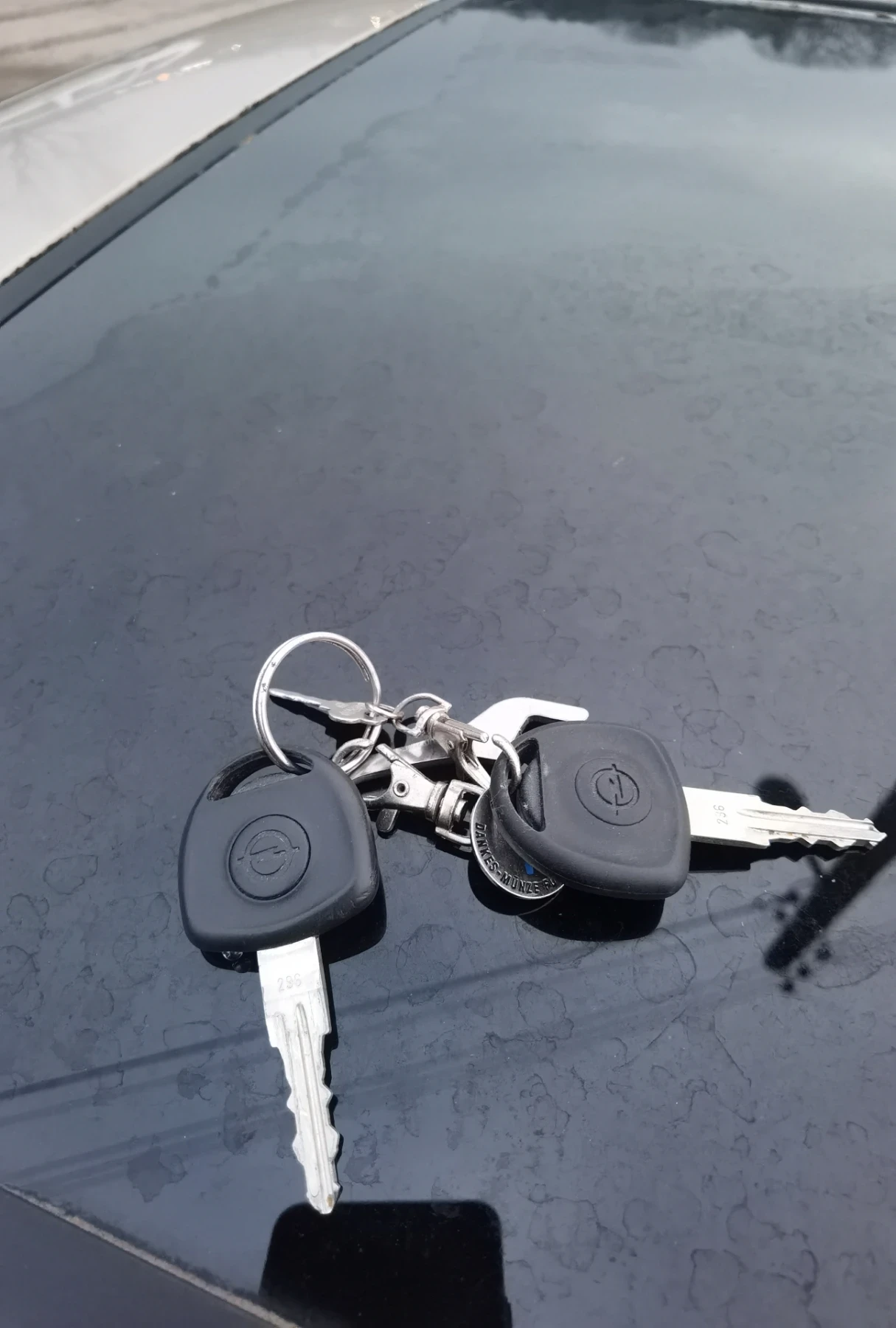 Opel Astra 1.7TD 87000km!!! - изображение 5