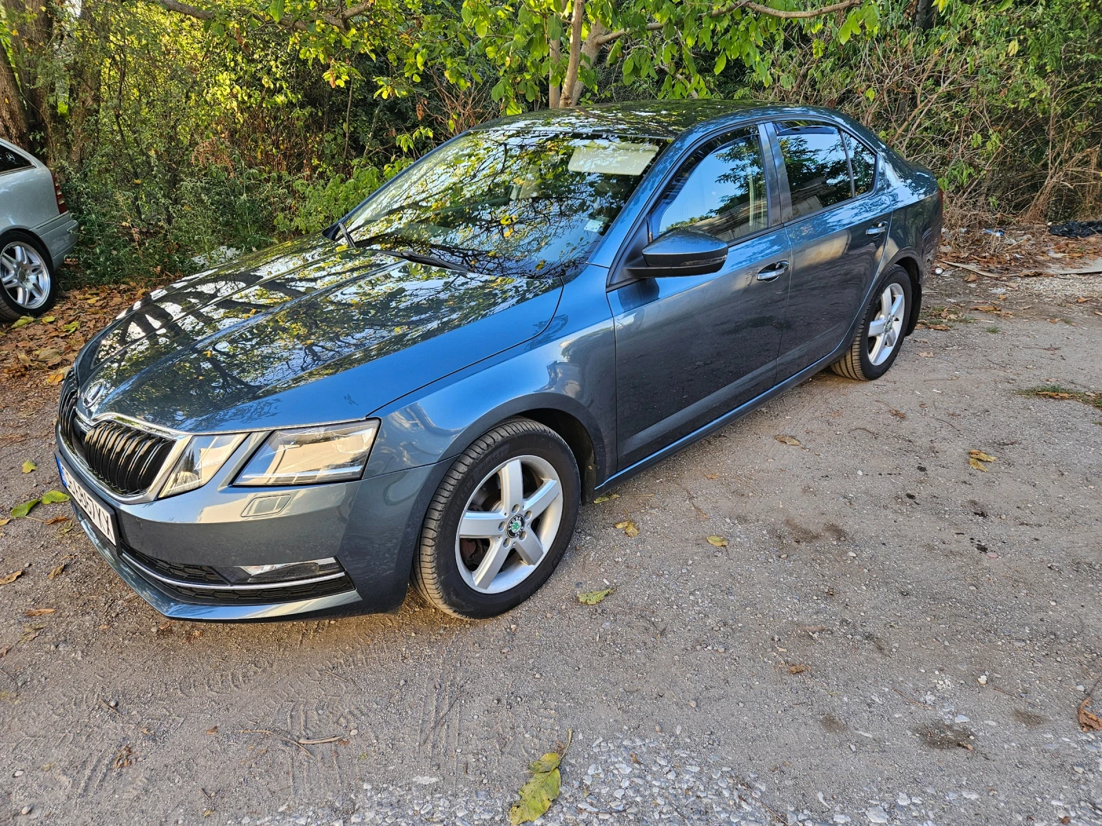 Skoda Octavia 4х4 - N1 , снимка 3 - Автомобили и джипове - 56621828