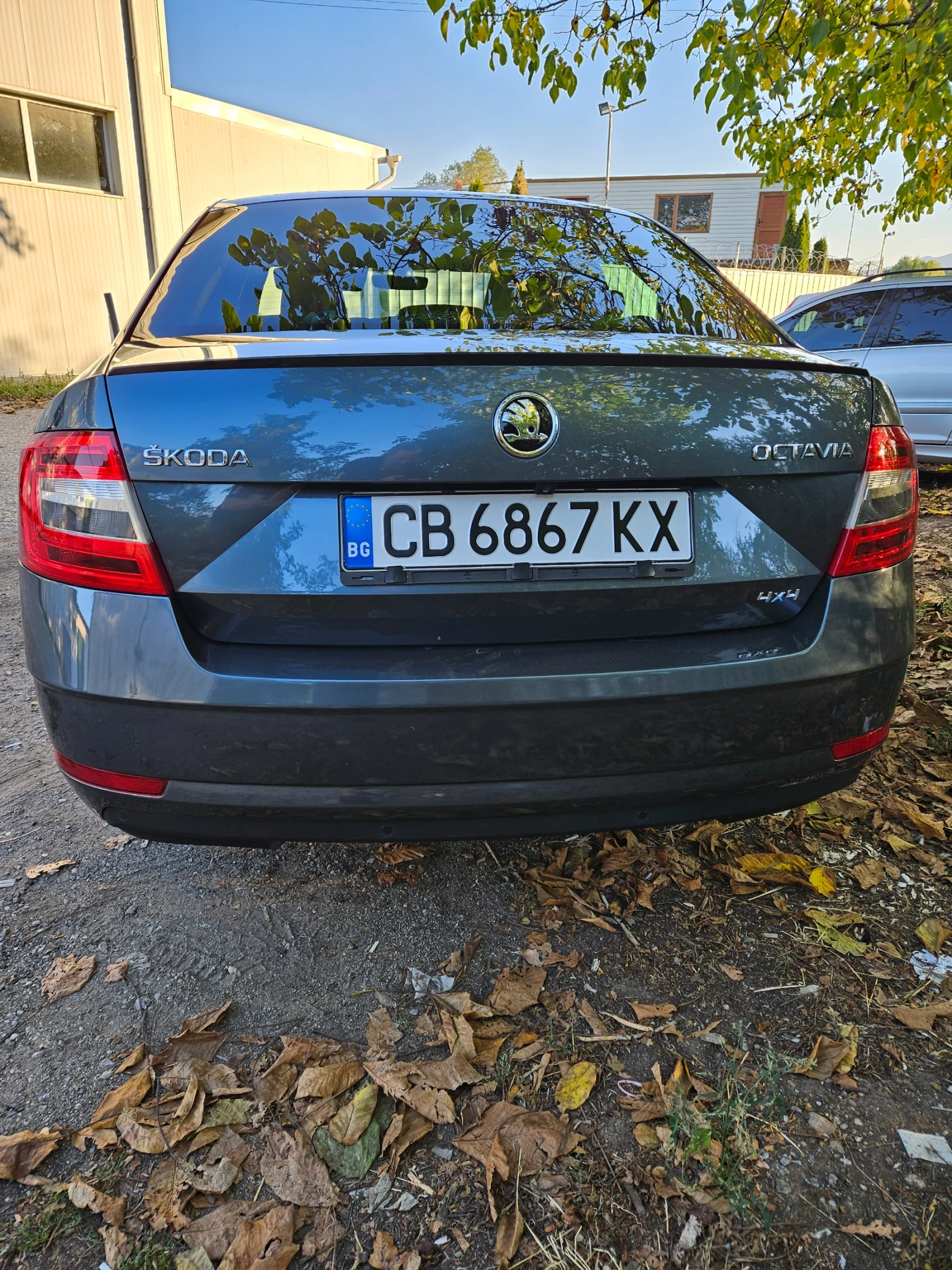 Skoda Octavia 4х4 - N1 , снимка 2 - Автомобили и джипове - 56621828