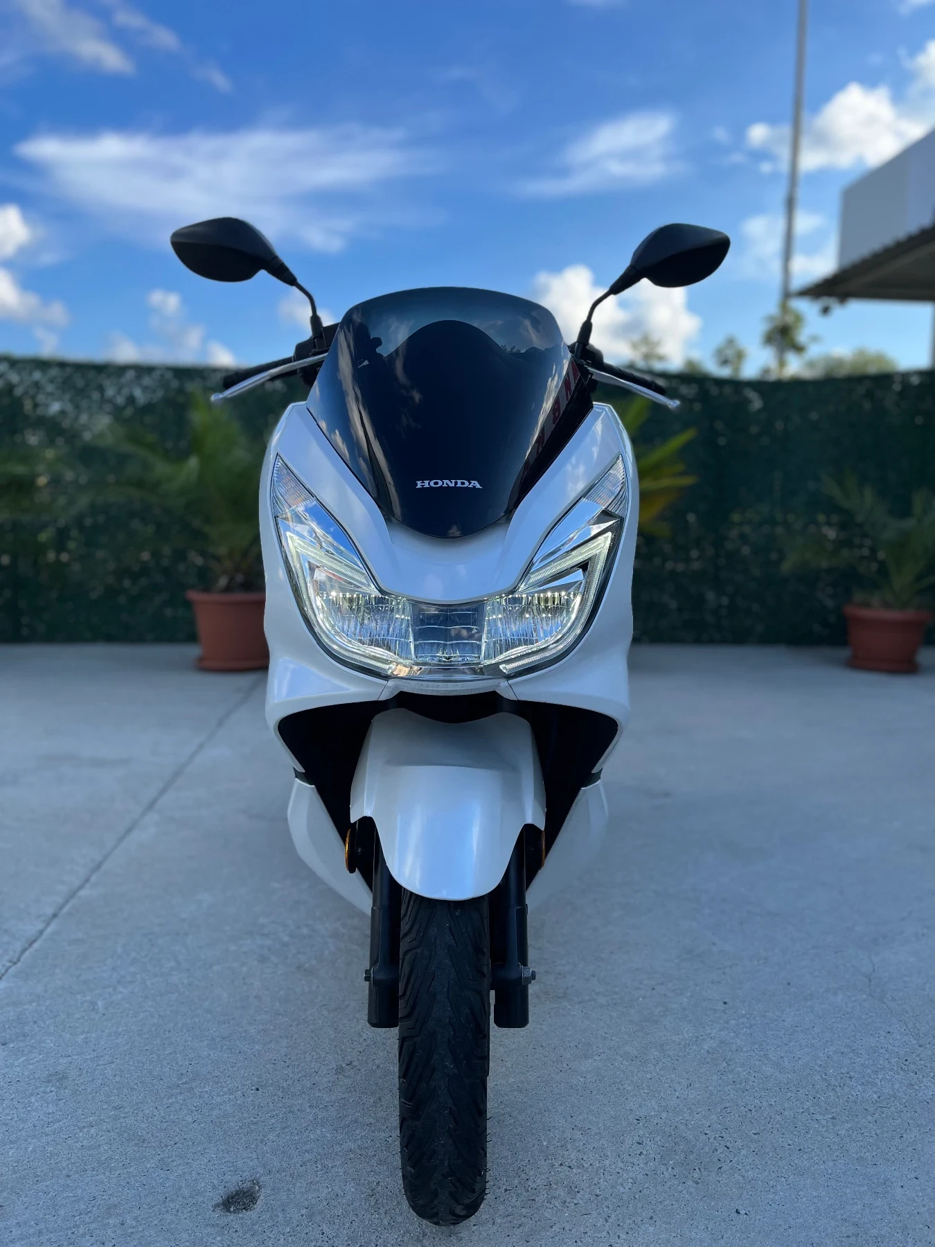 Honda Pcx 125 | Mobile.bg   1