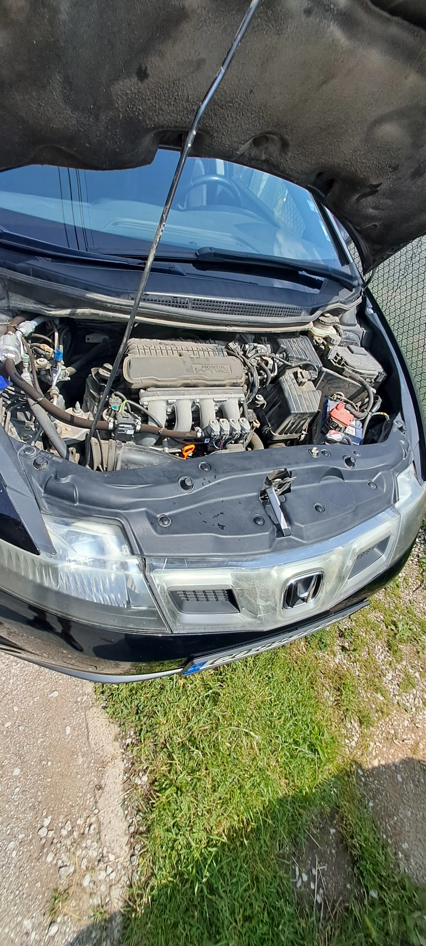 Honda Civic  - изображение 6