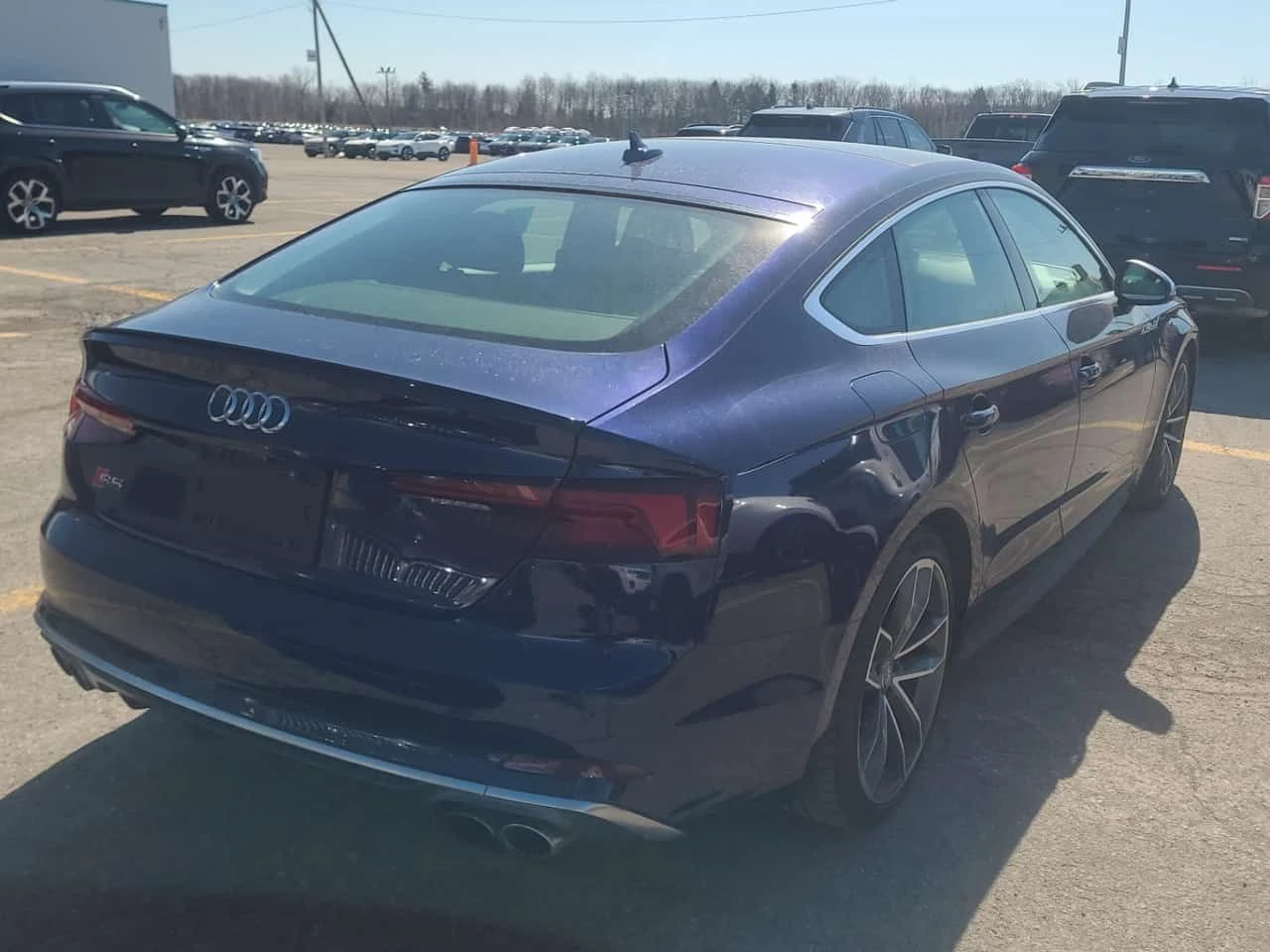 Audi S5 Technik /CARFAX /Дистроник/360 Кам//Пано/Подгрев/, снимка 3 - Автомобили и джипове - 54001004