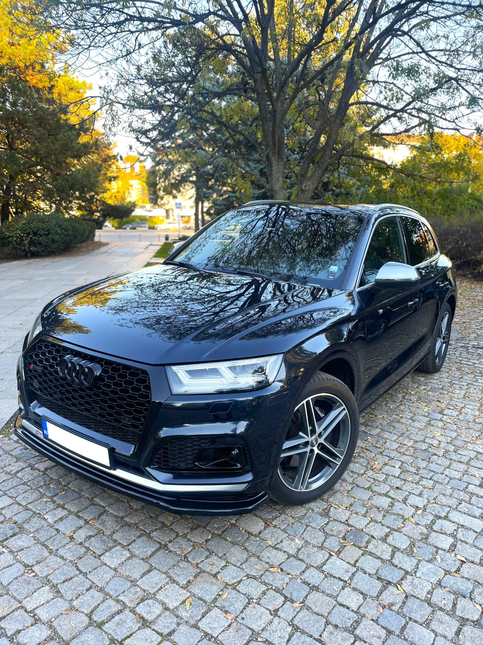 Audi SQ5 ///PREMIUM PLUS/RSQ5 LINE/ТОП/// - изображение 8