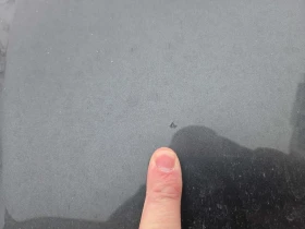 Audi A7 Technik  CARFAX - 25200 € / 49286.92 лв. - 42191484 17