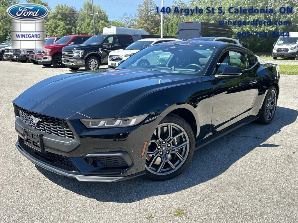 Ford Mustang * EcoBoost Local One owner * CARFAX * ���� �� �� | Mobile.bg � ����������� 1
