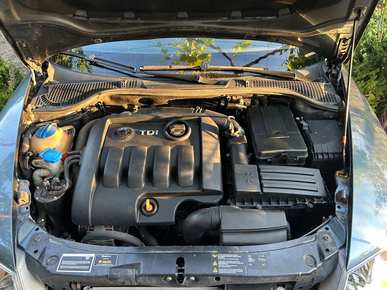 Skoda Octavia II 1.9 TDI DSG | Mobile.bg — изображение 17