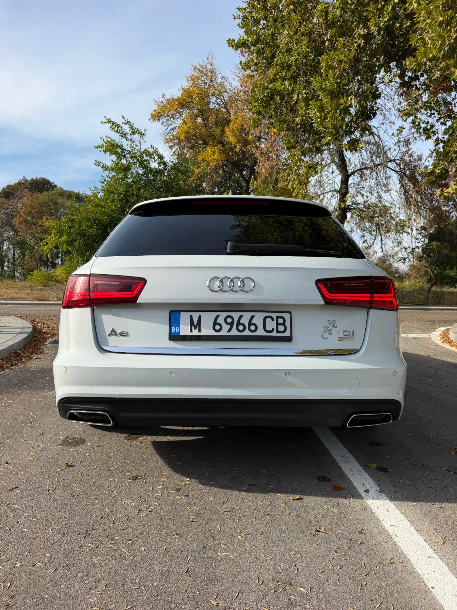 Audi A6, снимка 4 - Автомобили и джипове - 56701102