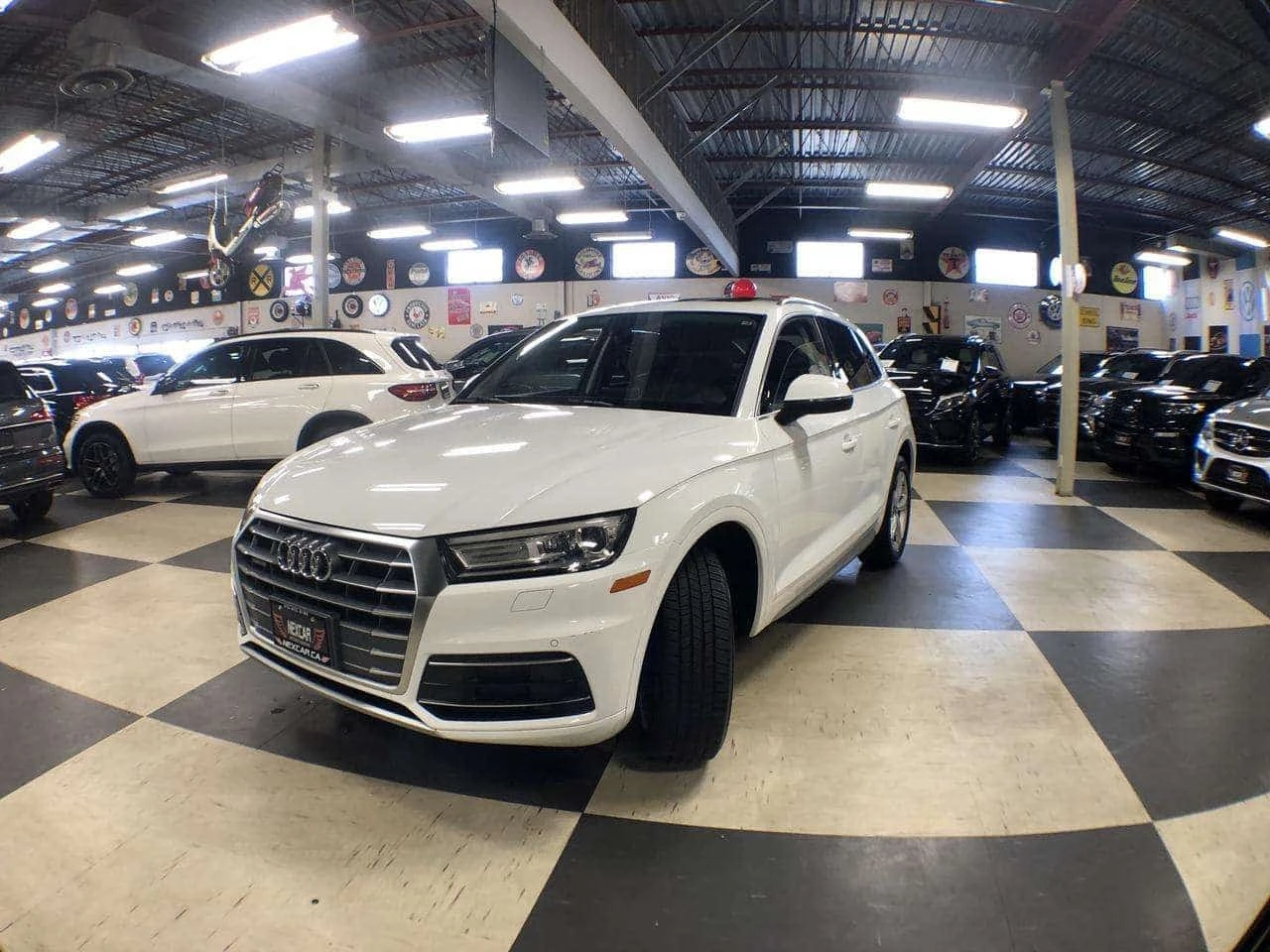 Audi Q5 * 2.0 TFSI PROGRESSIV AWD LEATHER PAN/ROOF NAV B/S | Mobile.bg � ����������� 3