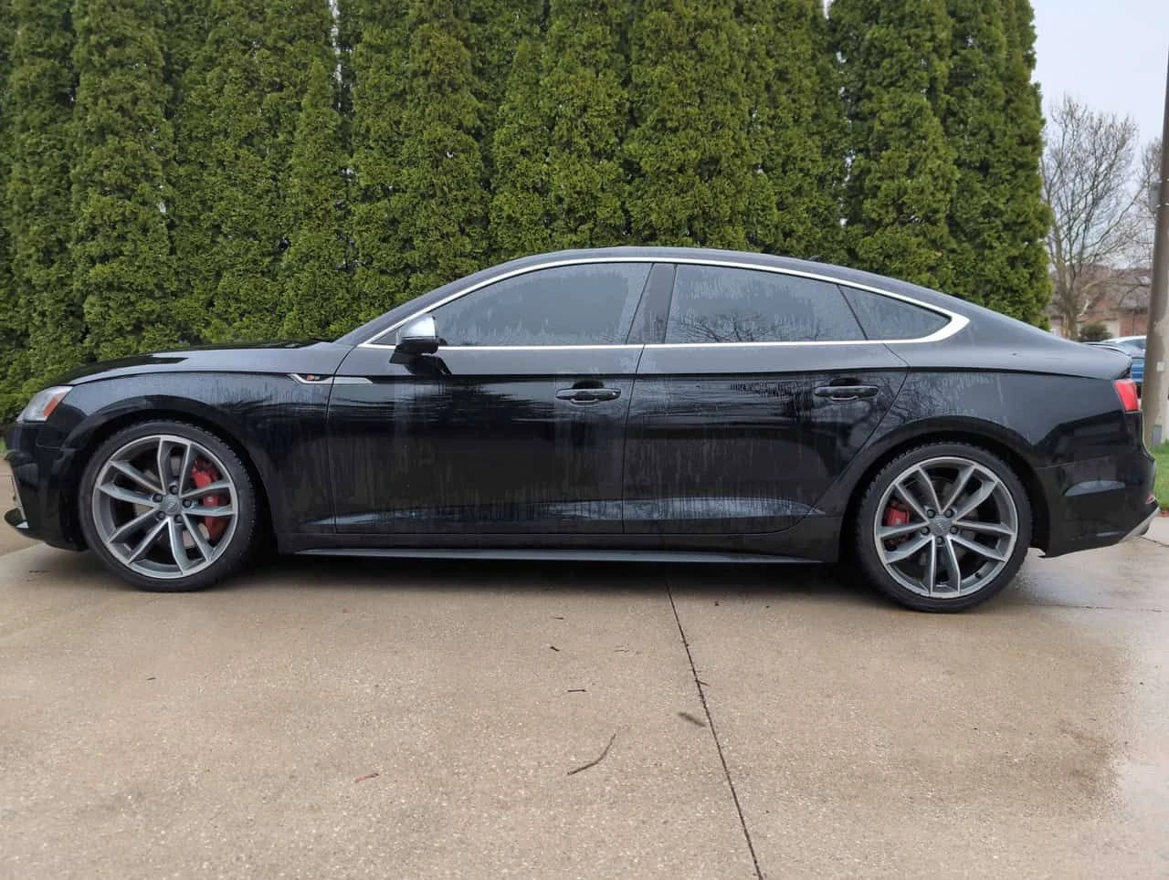 Audi S5 Technik/ПАНОРАМА/ДИСТРОНИК/360 КАМЕРИ, снимка 3 - Автомобили и джипове - 54315762