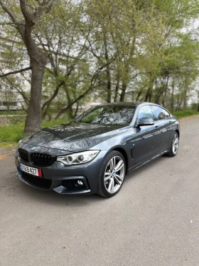 BMW 420 M-Sport\Panorama\LIZING