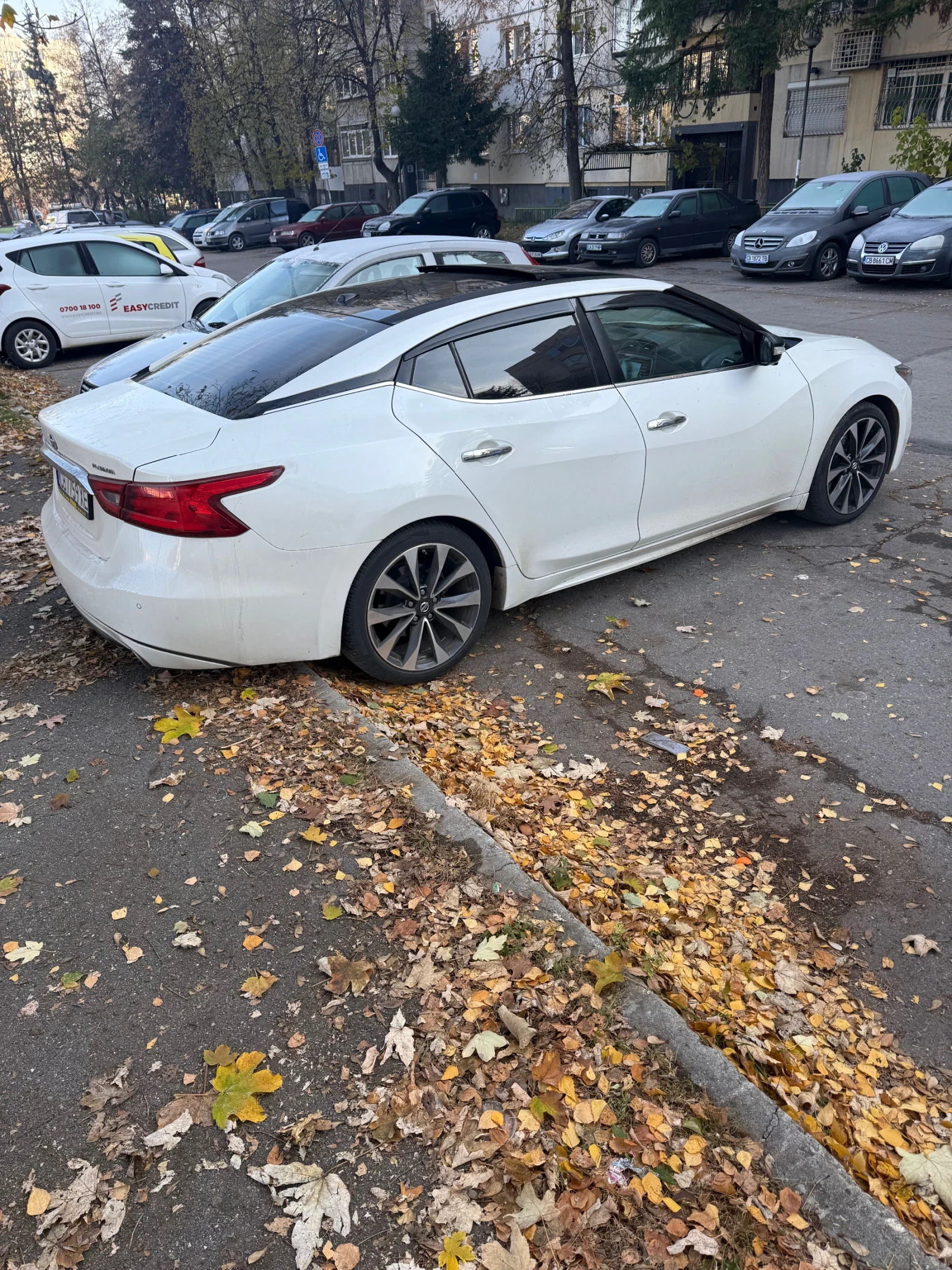 Nissan Maxima Platinum - изображение 2