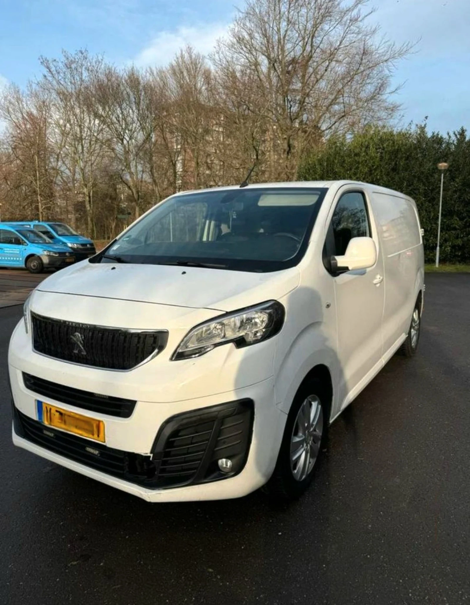 Peugeot Expert 2.0 HDI, снимка 1