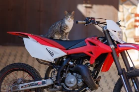 Beta Rr 50, снимка 2