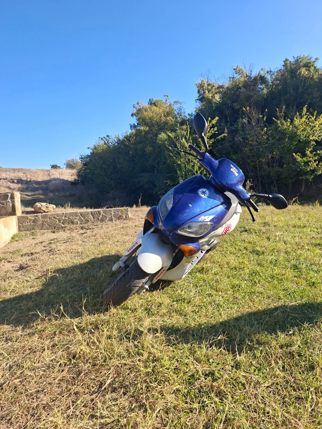 Yamaha Maxter