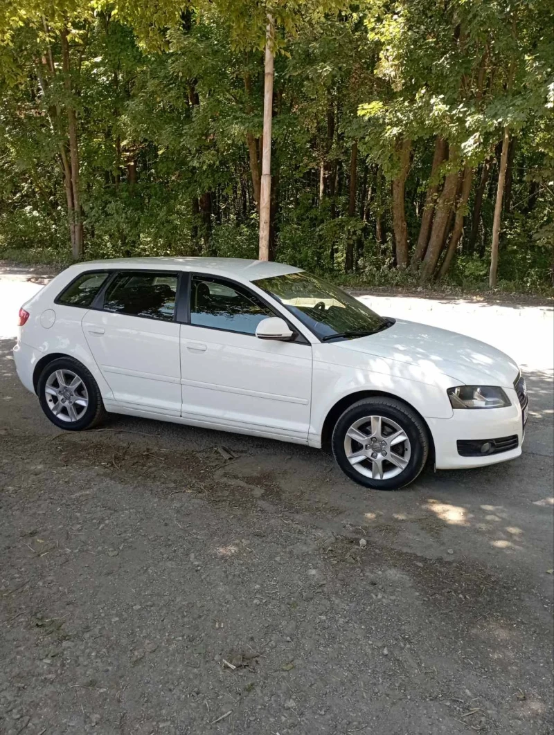 Audi A3 1.6 MPI, снимка 1 - Автомобили и джипове - 47429492