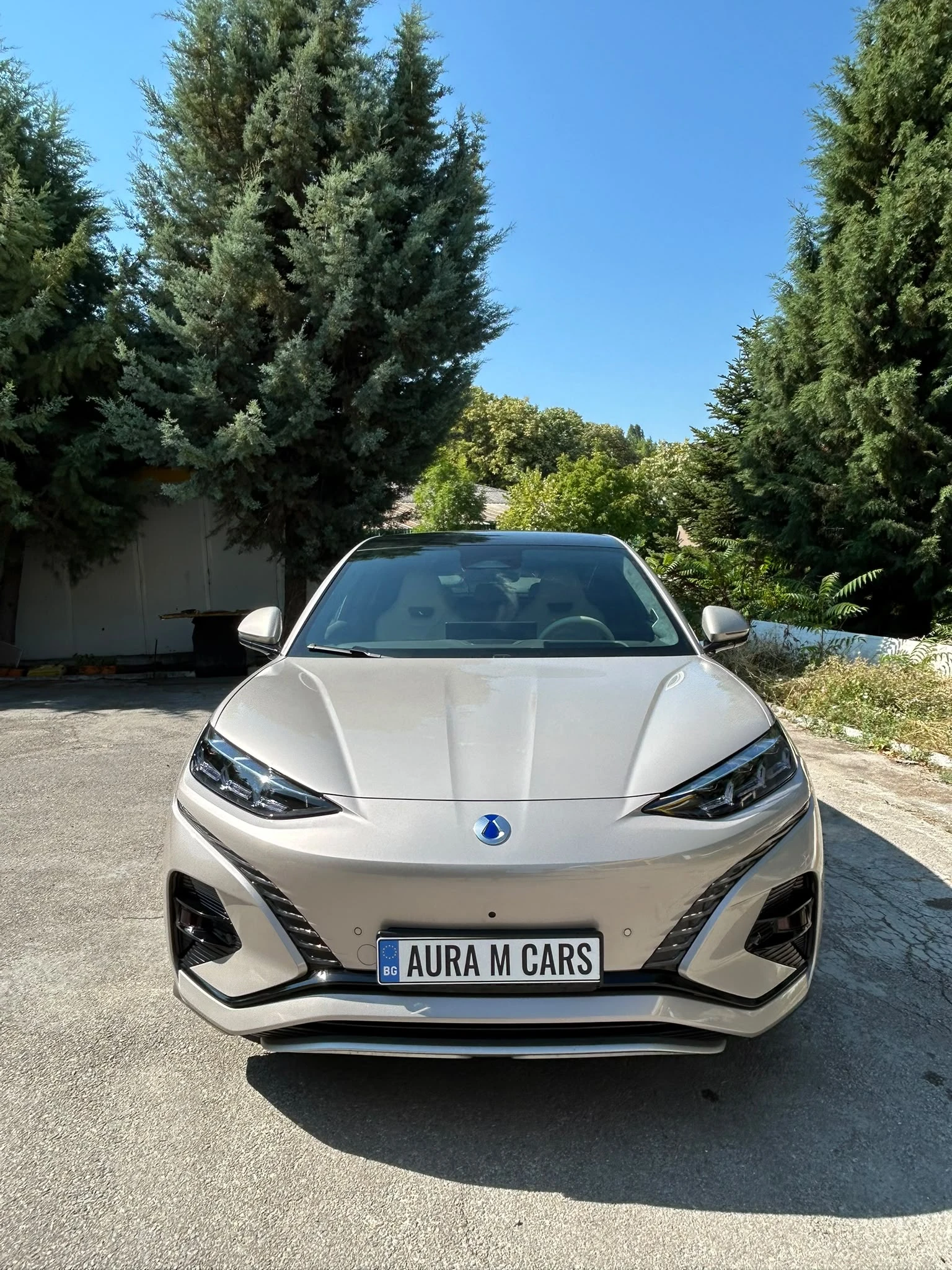 Denza N7