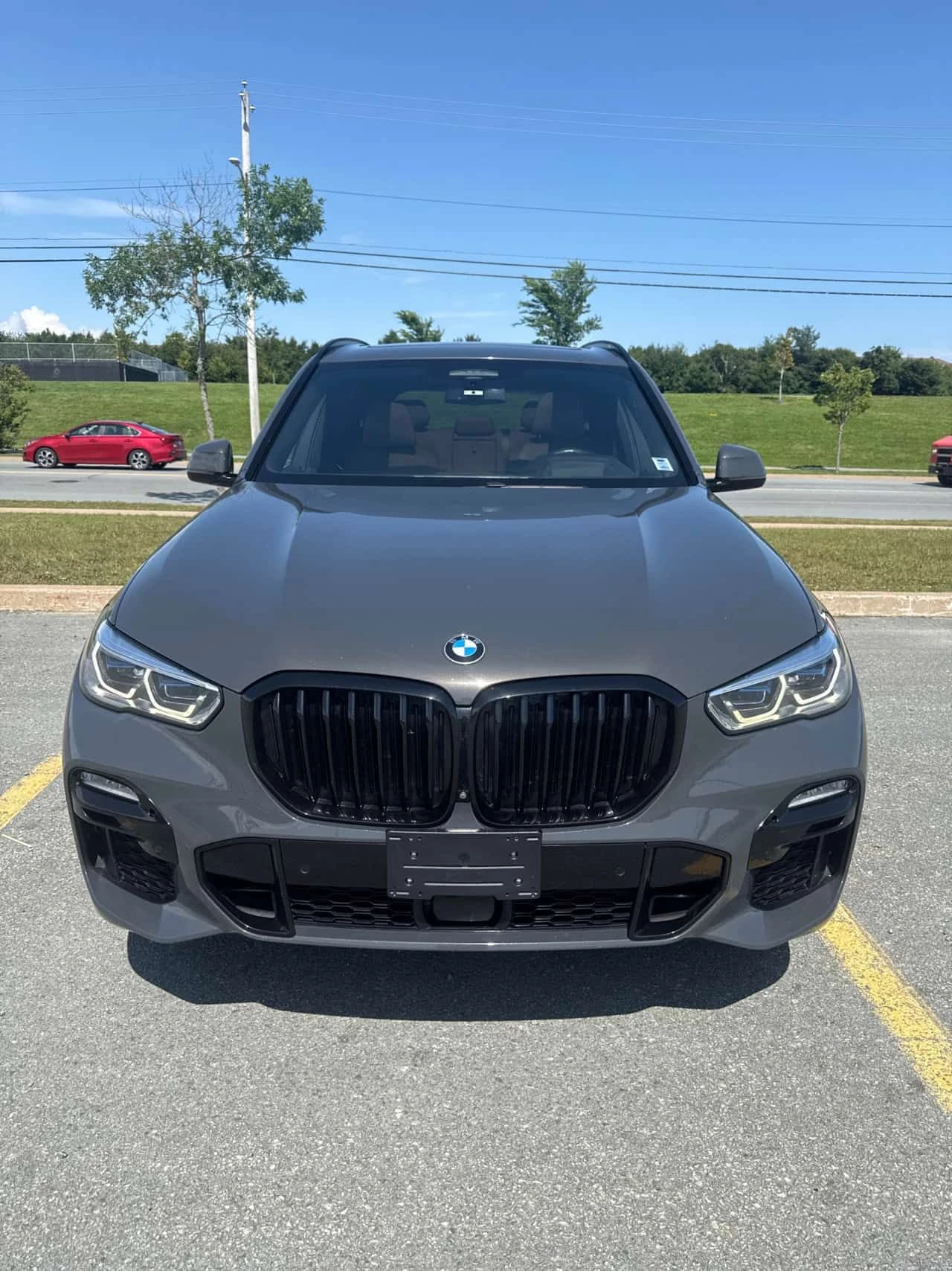 BMW X5 xDrive40i * ДИСТРОНИК * ВЪЗДУХ * СВАРОВСКИ * ЛАЗЕР, снимка 3 - Автомобили и джипове - 55528604