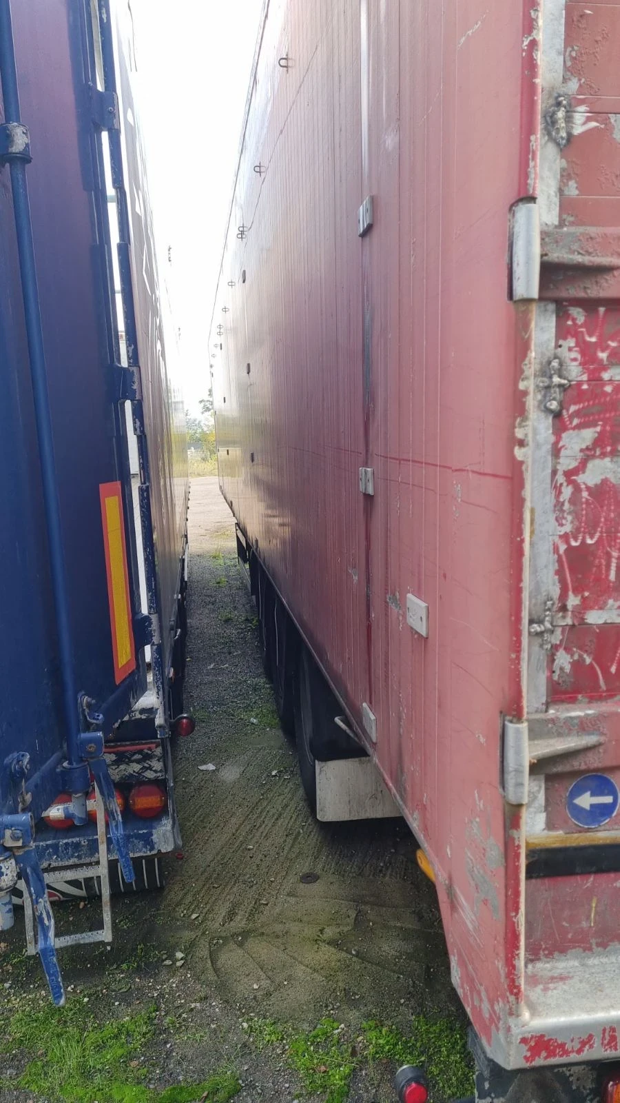 ����������� Benalu ������� | Mobile.bg � ����������� 2