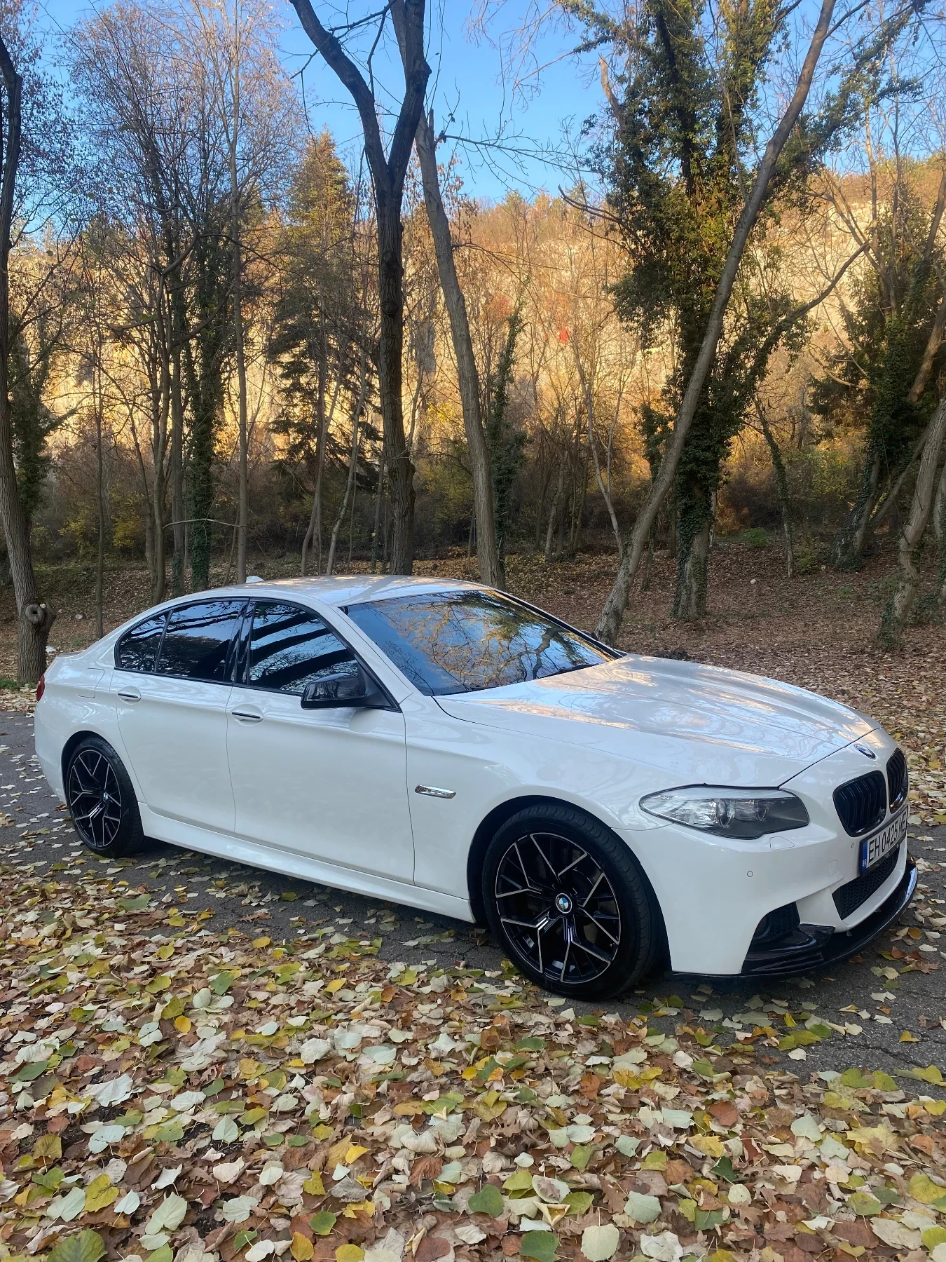 BMW 530 530 - изображение 5