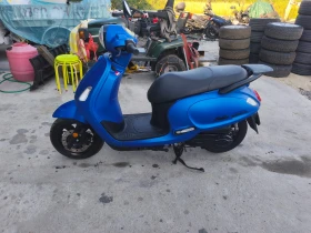 Sym Fiddle 50cm 2025г., снимка 3