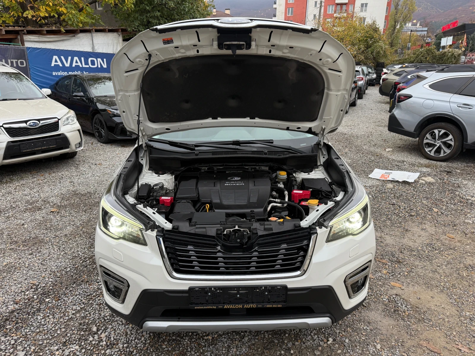 Subaru Forester E-Boxer  AWD | Mobile.bg   15