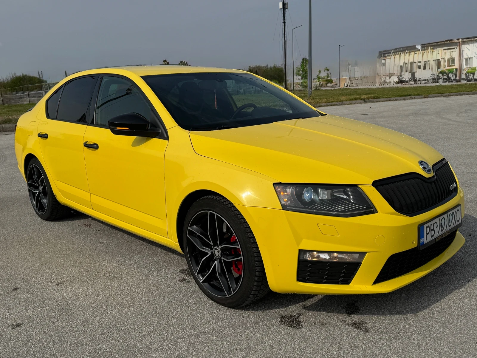 Skoda Octavia VRS, снимка 3 - Автомобили и джипове - 54184474