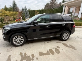 Mercedes-Benz ML 350 - 36800 лв. / 18815.54 € - 62284507 3