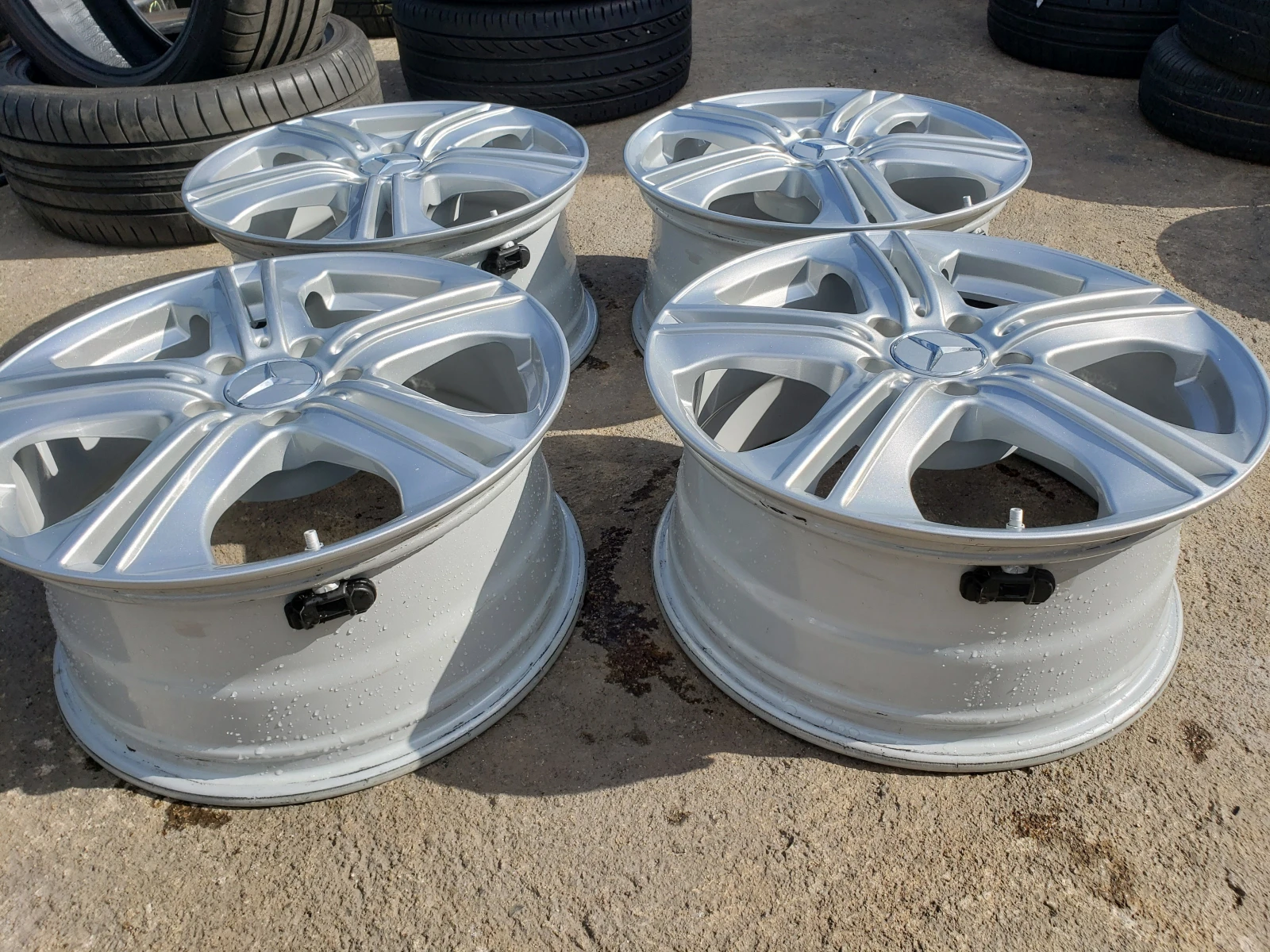 ������ | Mobile.bg � ����������� 8