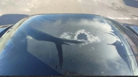 Audi A4, снимка 4