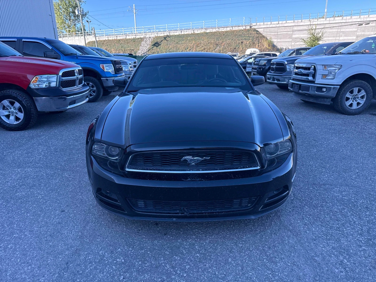 Ford Mustang * * CARFAX * * АВТО КРЕДИТ * *  - изображение 2