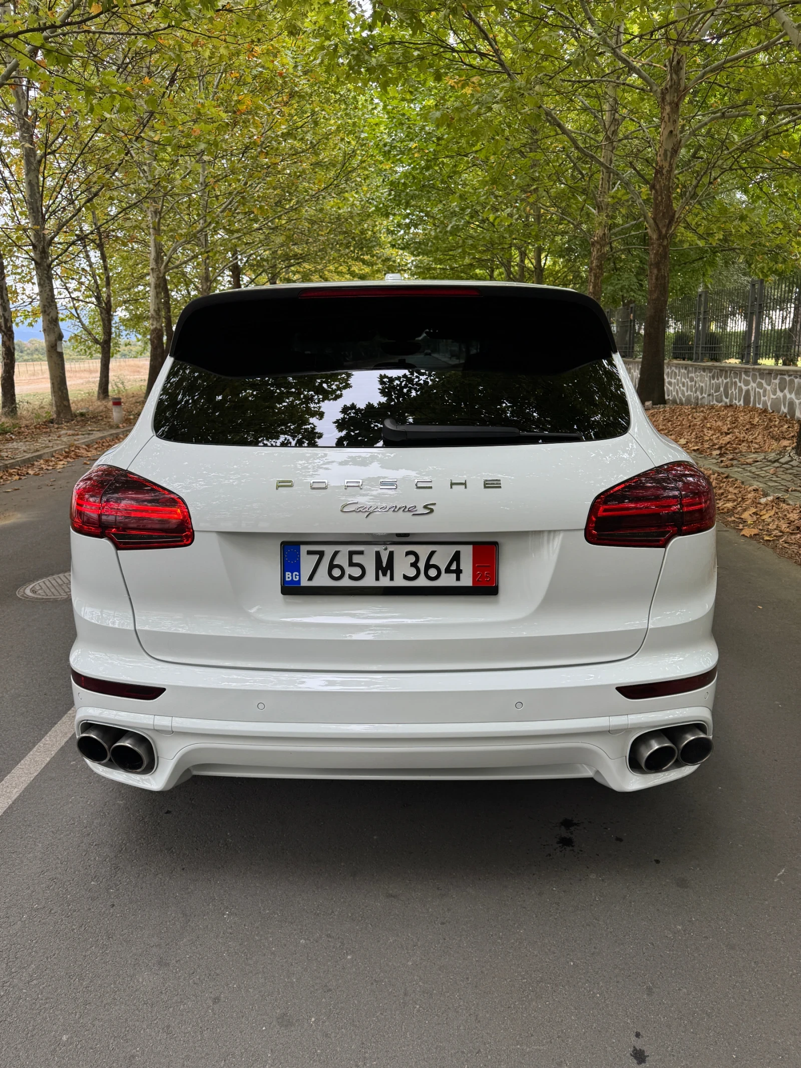 Porsche Cayenne S Matrix xrono paket - изображение 7