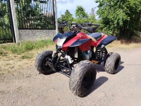 Bashan BS 200, снимка 2