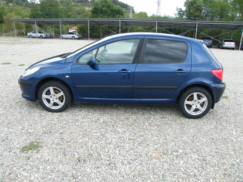 Peugeot 307 1.6HDI, снимка 6 - Автомобили и джипове - 47109359