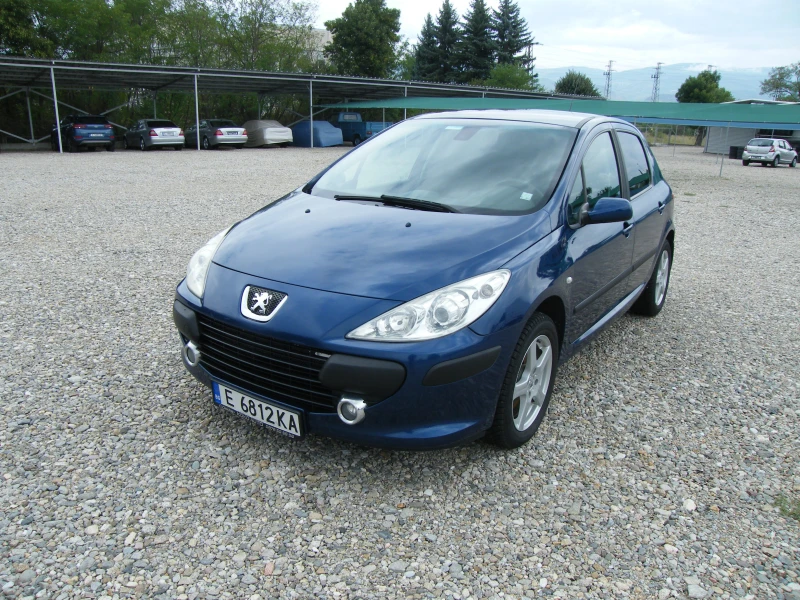 Peugeot 307 1.6HDI, снимка 1 - Автомобили и джипове - 47109359