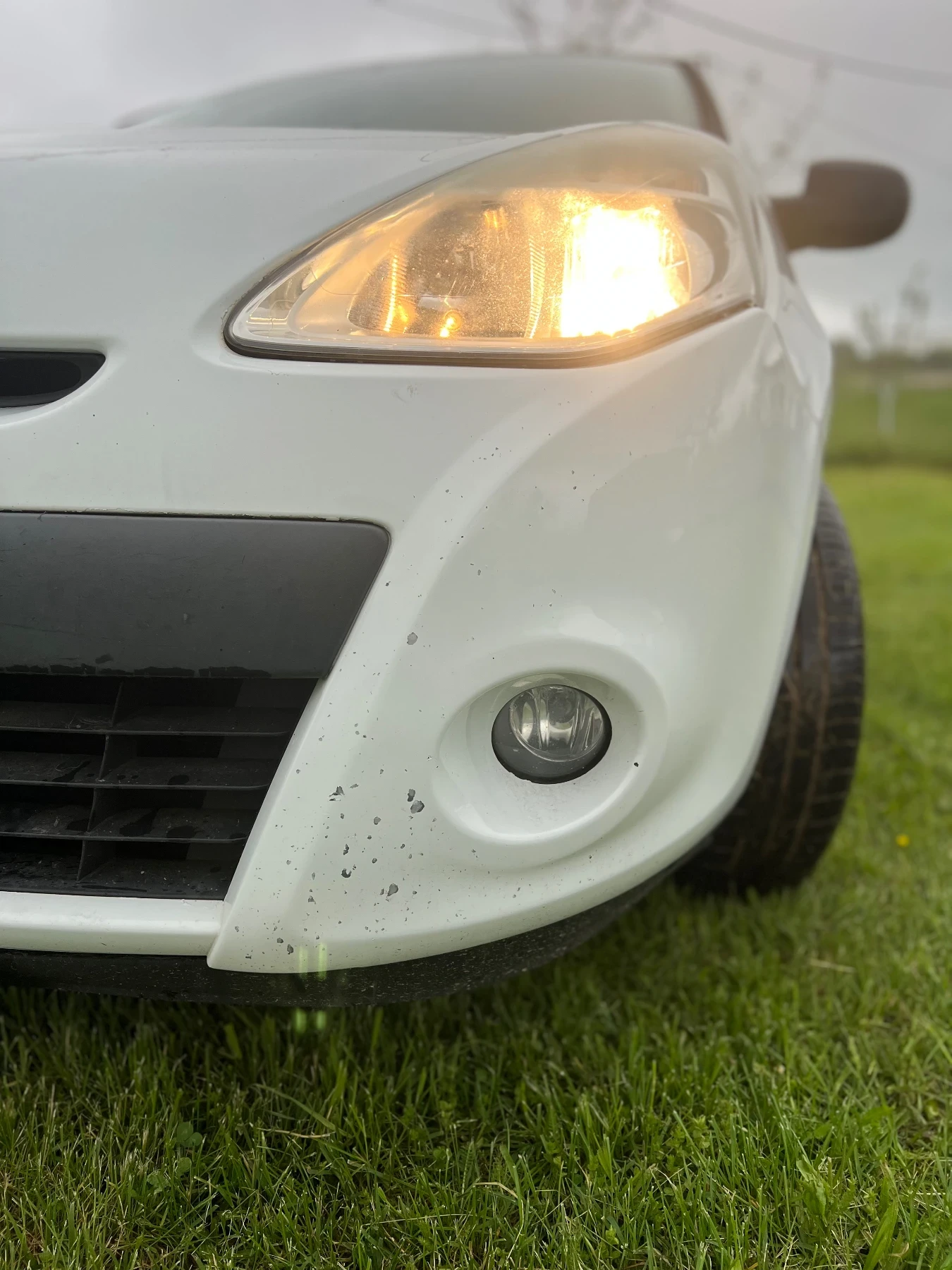Renault Clio N1 - изображение 5