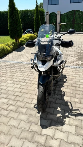  Triumph Tiger