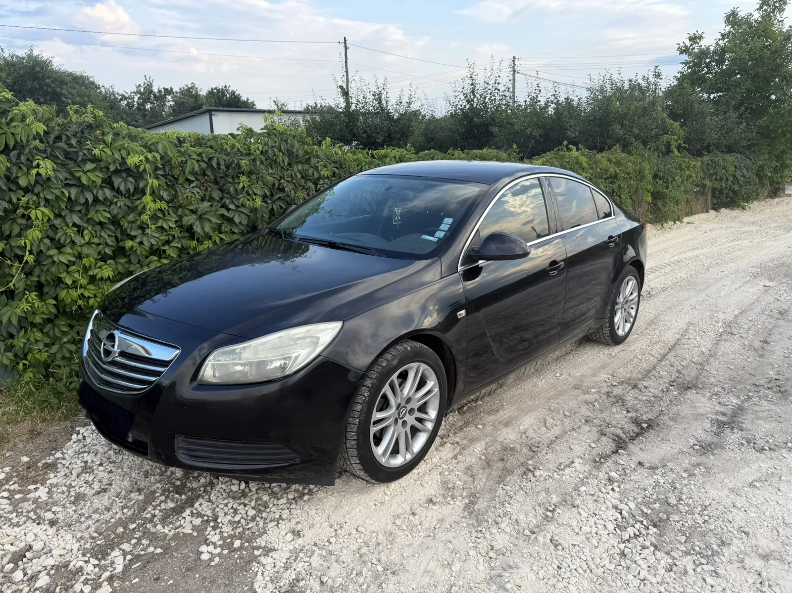 Opel Insignia, снимка 7 - Автомобили и джипове - 55366175
